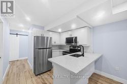 BASEMENT - 29 GRACE STREET Toronto, ON M6G 3A6