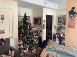 Living Room - 