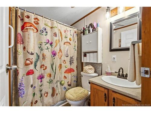 198 Lake Drive, Minto, NB 