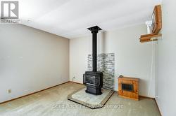 Propane fireplace - 