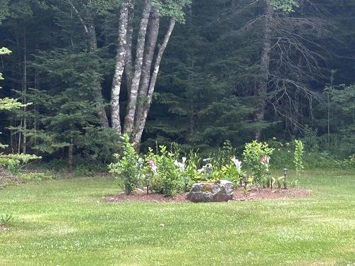 137 Johnson Road, Coldstream, NS - Outdoor With View