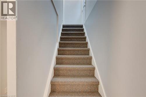 Separate Entrance - 250 Dinison Crescent, Kitchener, ON 