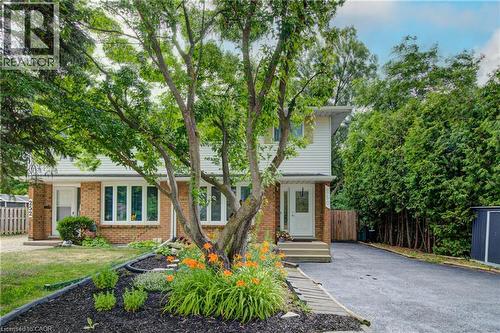 250 Dinison Crescent, Kitchener, ON 