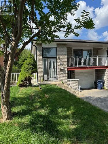 BASEMENT - 117 PINDAR CRESCENT , Toronto, Ontario M2J 3L3 4