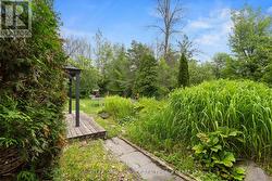Lush landscaping - 