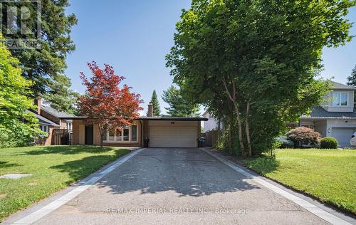 4 Quincy Crescent, Toronto, ON 