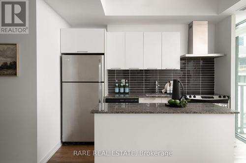 919 - 95 Bathurst Street, Toronto, ON - Indoor Photo Showing Kitchen With Upgraded Kitchen
