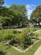 Communal Garden - 