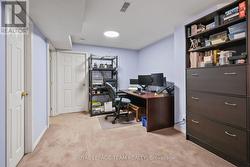 Fully finished Basement with large Rec Rm. - 