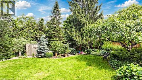 Expansive lawn with mature trees and varied foliage - 438 Lexington Road, Waterloo, ON 