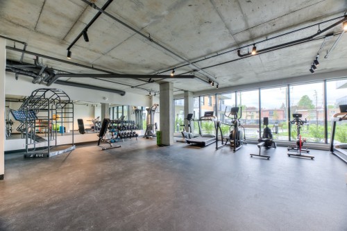 Salle d'exercice - W704-8510 Rue Jean-Nicolet, Montréal (Saint-Léonard), QC - Indoor Photo Showing Gym Room