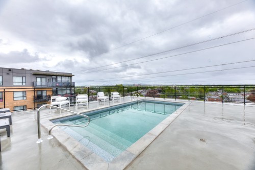 Piscine - W704-8510 Rue Jean-Nicolet, Montréal (Saint-Léonard), QC - Outdoor With In Ground Pool