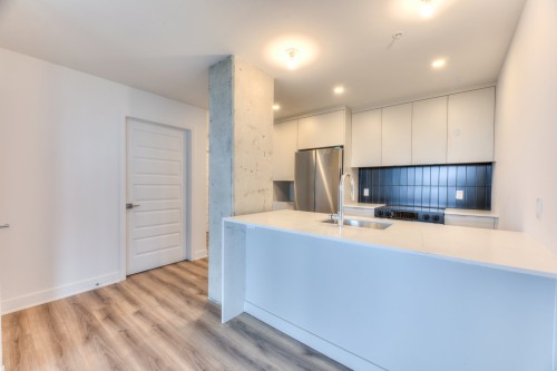 Cuisine - W704-8510 Rue Jean-Nicolet, Montréal (Saint-Léonard), QC - Indoor Photo Showing Kitchen With Double Sink