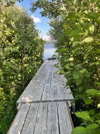 Vue sur l'eau - 