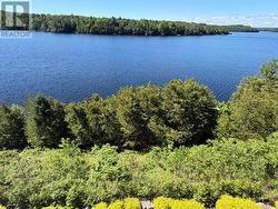 View from Balcony - 