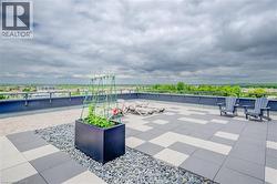 5th floor common  terrace - 