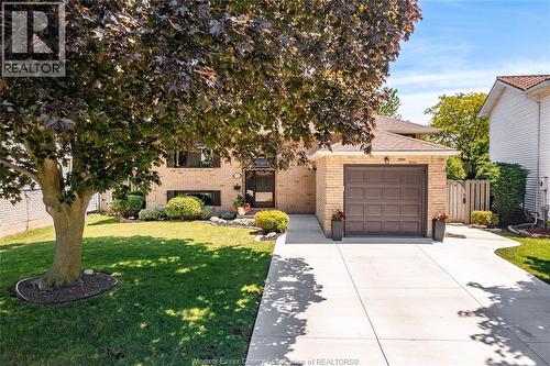 384 AMBERLY CRESCENT  Tecumseh, ON N8N 3M3