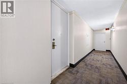 Entry hallway featuring patterned carpet, light-toned walls, and a contrasting dark baseboard - 