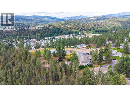 134 Deerview Crescent, Princeton, BC - Outdoor With View