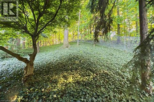 Backyard with privacy - 18 Stonegate Drive, Hamilton, ON 