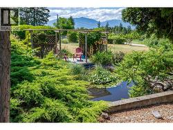 Fish pond! - 
