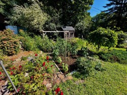 Jardin - 