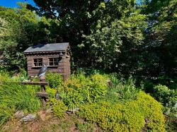 Jardin - 