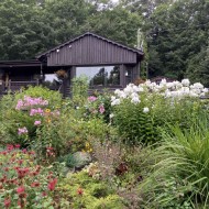 Jardin - 