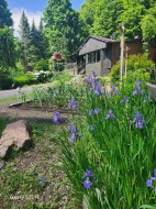 Jardin - 