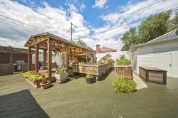 Jardin - 