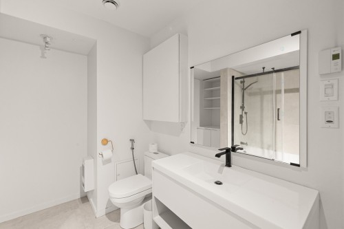 Bathroom - 251 Rue St-Zotique O., Montréal (Rosemont/La Petite-Patrie), QC - Indoor Photo Showing Bathroom