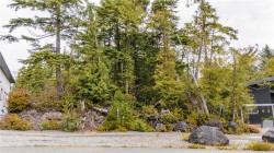 Lot 50 Cedar Grove Ucluelet, BC V0R 3A0