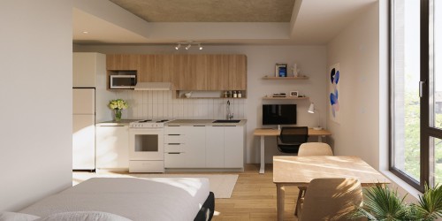Overall view - 302-2566 Rue St-Patrick, Montréal (Le Sud-Ouest), QC - Indoor Photo Showing Kitchen