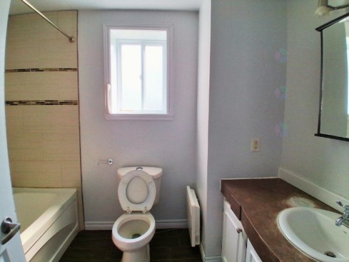 Salle de bains - 192 6E Rang, Mont-Tremblant, QC - Indoor Photo Showing Bathroom
