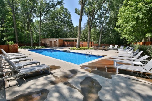 Piscine - 103-2100 Rue Benoit, Saint-Bruno-De-Montarville, QC - Outdoor With In Ground Pool With Backyard