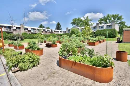 Jardin - 103-2100 Rue Benoit, Saint-Bruno-De-Montarville, QC - Outdoor