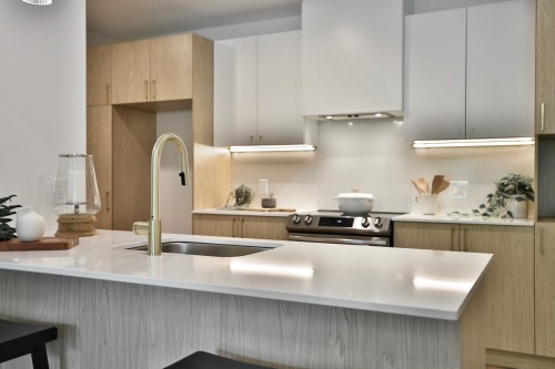 Cuisine - 103-2100 Rue Benoit, Saint-Bruno-De-Montarville, QC - Indoor Photo Showing Kitchen With Upgraded Kitchen