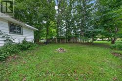 Backyard - 
