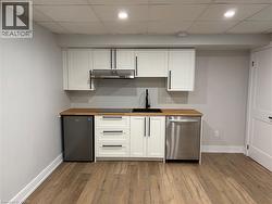 Kitchenette in lower level - 