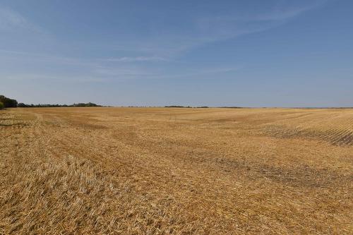 Rge Rd 274 And Twp Rd 523, Stony Plain, AB 
