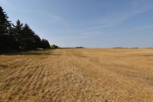 Rge Rd 274 And Twp Rd 523, Stony Plain, AB 