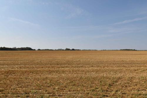Rge Rd 274 And Twp Rd 523, Stony Plain, AB 