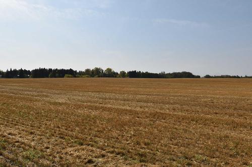 Rge Rd 274 And Twp Rd 523, Stony Plain, AB 