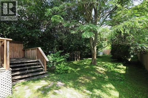 Backyard - 223 Wellington Street N, Kitchener, ON - Outdoor