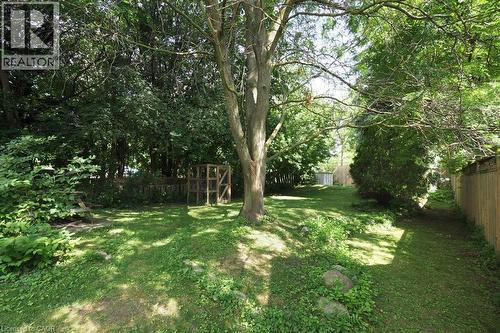 Backyard - 223 Wellington Street N, Kitchener, ON - Outdoor