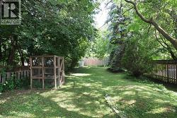 Backyard - 