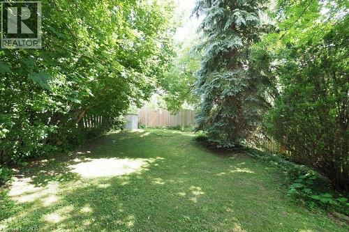 Backyard - 223 Wellington Street N, Kitchener, ON - Outdoor