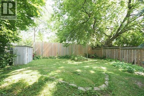Backyard - 223 Wellington Street N, Kitchener, ON - Outdoor With Backyard