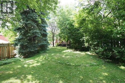 Backyard - 223 Wellington Street N, Kitchener, ON - Outdoor