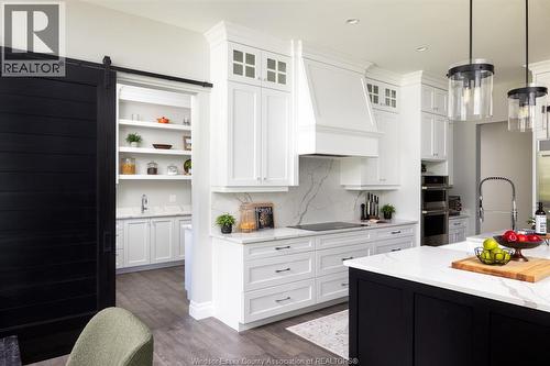 6005 Silver Maple Road, Lasalle, ON - Indoor Photo Showing Kitchen With Upgraded Kitchen